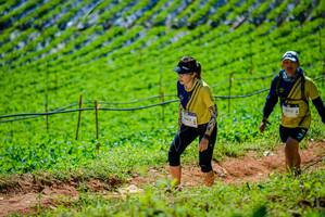 BIB: 412
                            <button type="button" onclick="openModal(19163805)" class="btn btn-primary btn-sm float-right btn-popup" data-toggle="modal" data-target=".modal-high-quality">
                        <i class="fas fa-shopping-cart"></i> Add to Cart
                    </button>
                                            <button type="button" onclick="isThisMe(19163805, true)" class="btn btn-success btn-sm float-right btn-popup btn-isme hidden" data-toggle="tooltip" data-placement="bottom" title="นี่คือรูปของคุณใช่ไหม คลิกที่นี่เพื่อเอาเข้าอัลบั้ม">
                        <i class="fas fa-plus"></i> Add to album
                    </button>
                    <button type="button" onclick="isThisMe(19163805, false)" class="btn btn-warning btn-sm float-right btn-popup btn-isnotme hidden">
                        <i class="fas fa-ban"></i> Remove from album
                    </button>